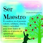 Ser Maestro 
